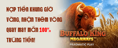 Hoàn Trả VIP Hàng Ngày 1.5% promotion